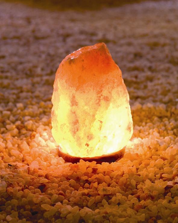 ��՗������v